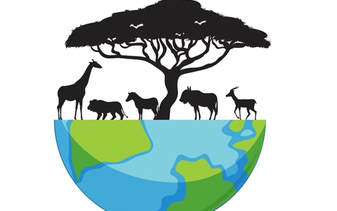 Master Of Science In Ecotourism And Biodiversity Conservation