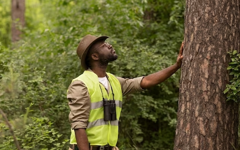 Bachelor Of Science (Honours) Degree In Forest Resources And Wildlife Management