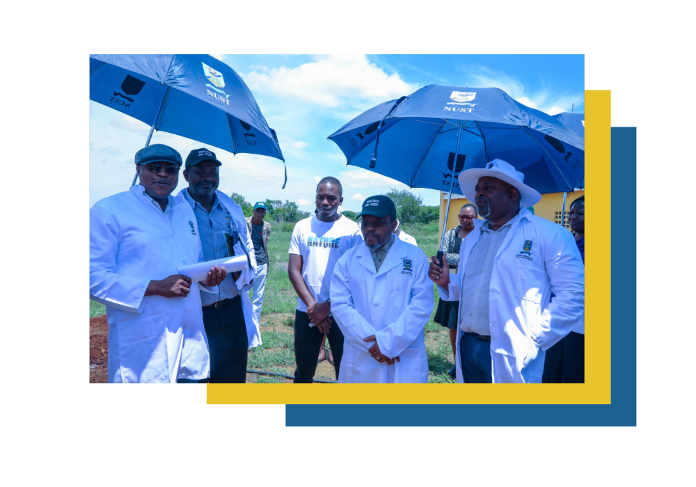 The Amazing Slideshow Addon!