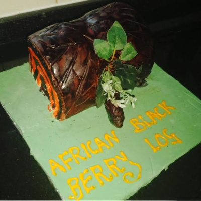 Culinary Innovation: NUST Catering Team Translates Indigenous Heritage into Modern Patisserie