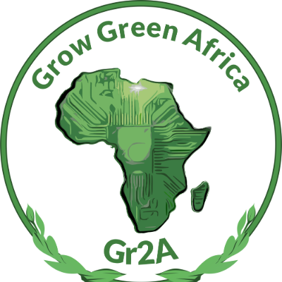 NUST Leverages Global Green Tech Research to Anchor International Student Recruitment