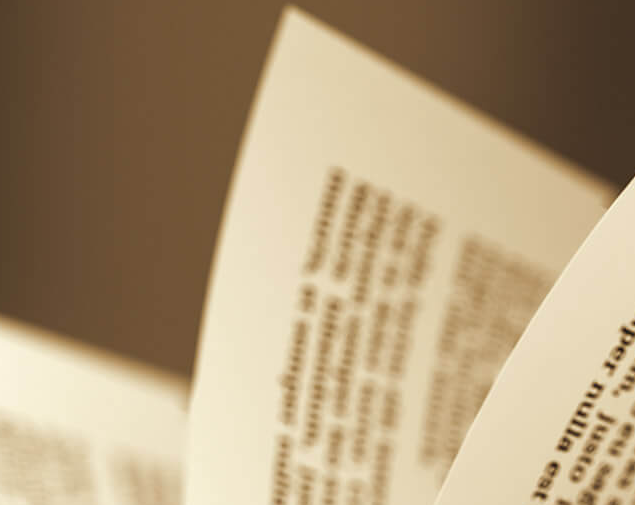 This image for Image Layouts addon